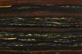 Polished Tiger Iron Stromatolite - Billion Years #129354-1